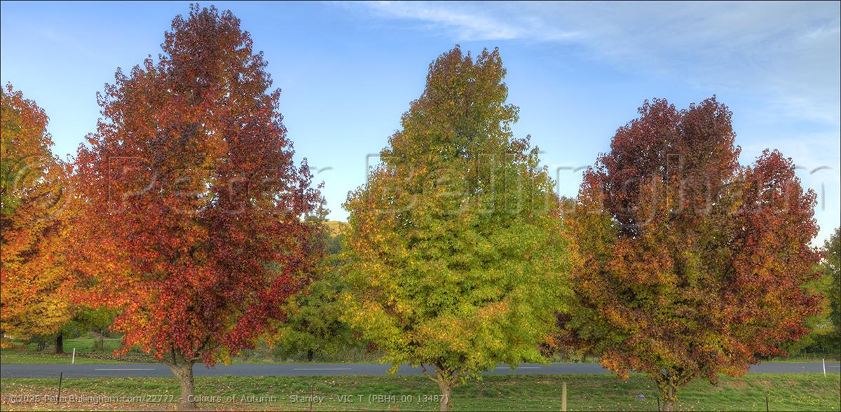 Peter Bellingham Photography Colours of Autumn - Stanley - VIC T (PBH4 00 13487)